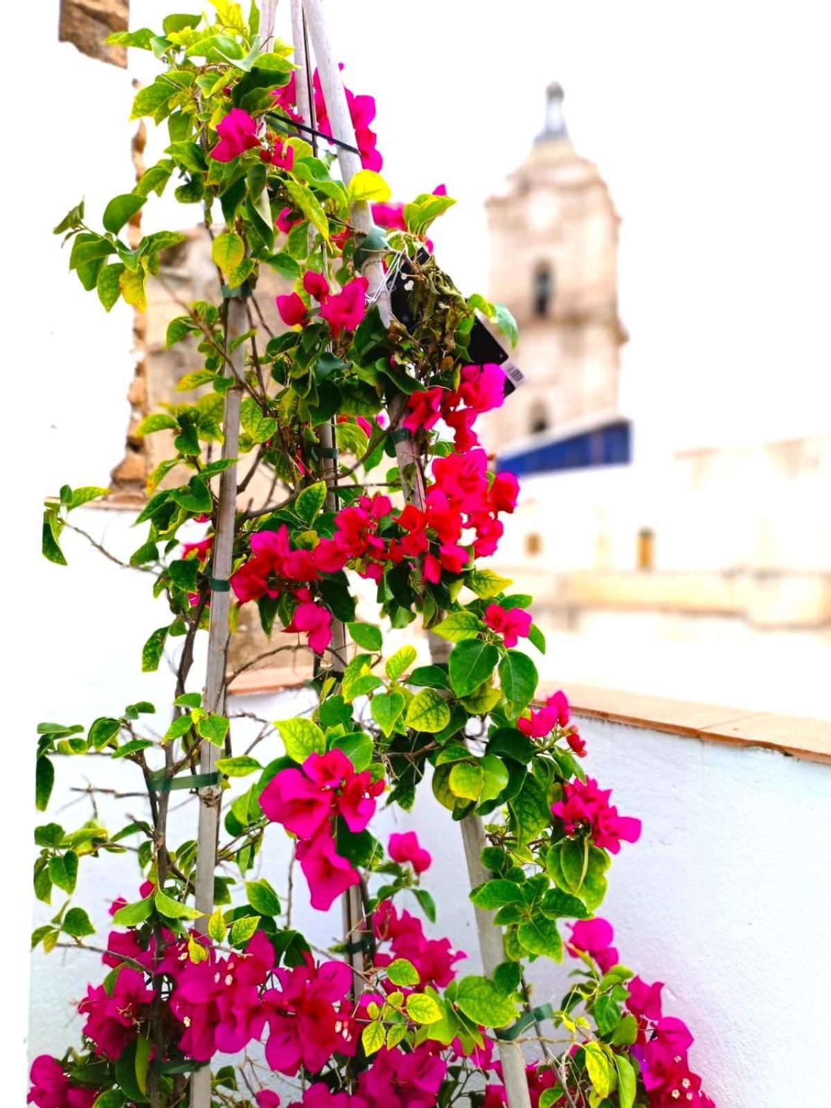 Apartamentos Calle Nueva Μάλαγα Εξωτερικό φωτογραφία